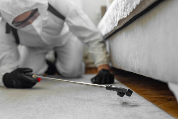 Professional Termite Control technician working in West Concord, MA